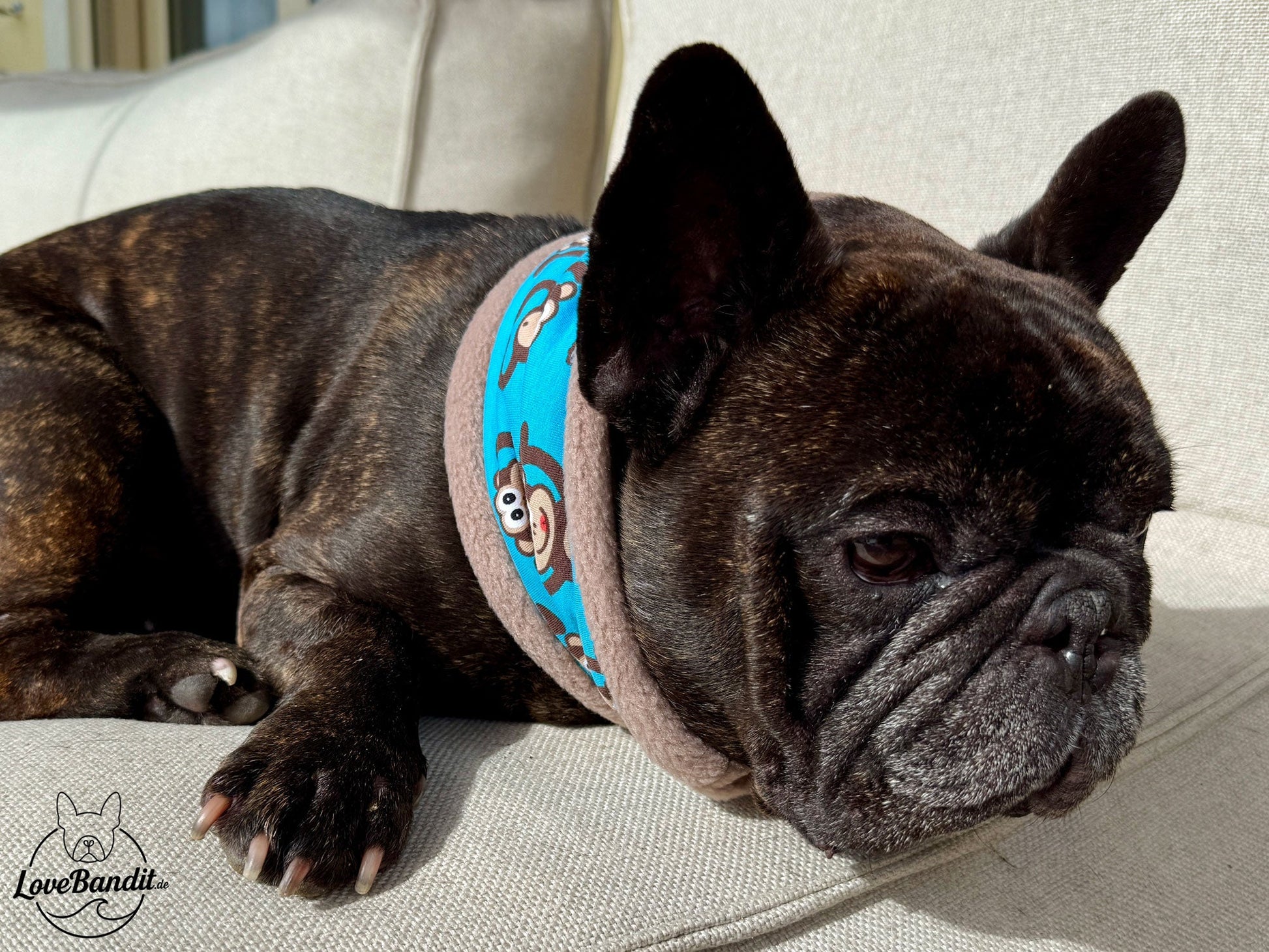 Hundeloop Hundeschal Affen blau Fleece Teddyplüsch Lovebandit