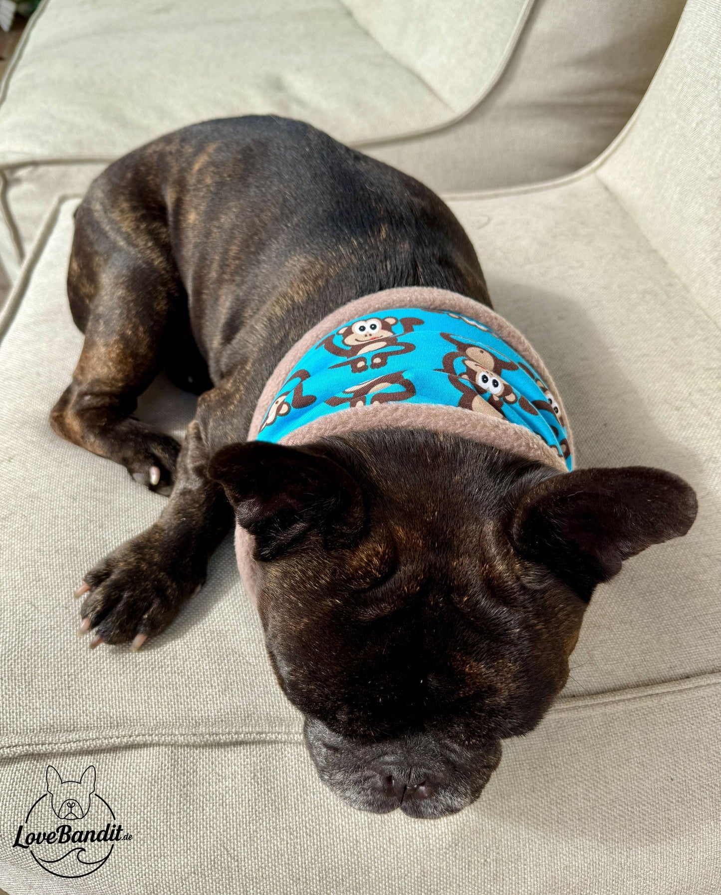Hundeloop Hundeschal Affen braun Lovebandit