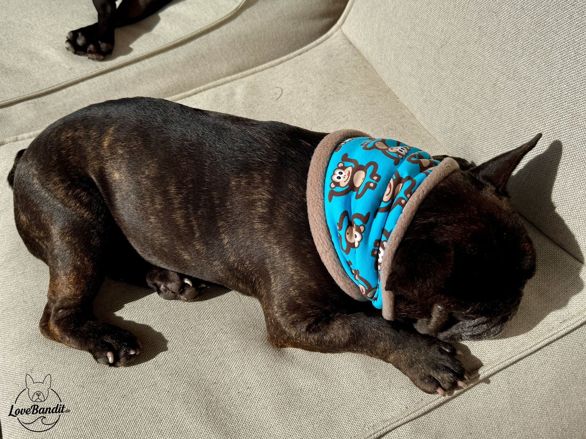 Hundeloop Hundeschal Affen blau Fleece Teddyplüsch Lovebandit