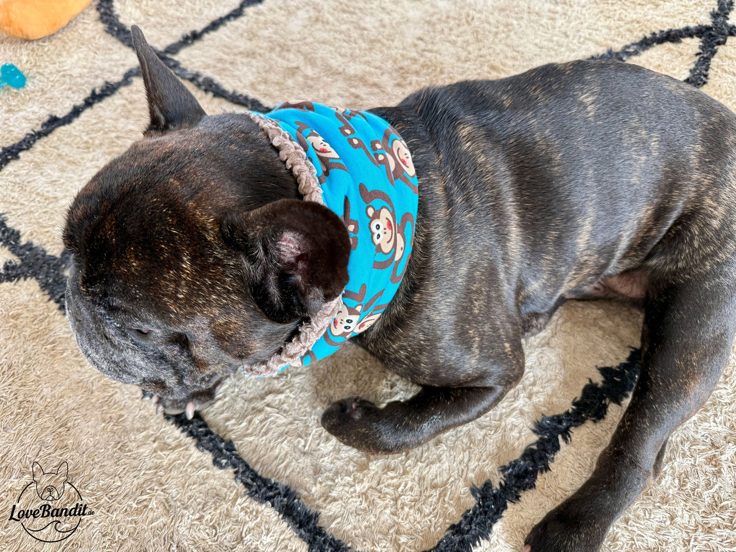 Hundeloop Hundeschal Affen braun Lovebandit
