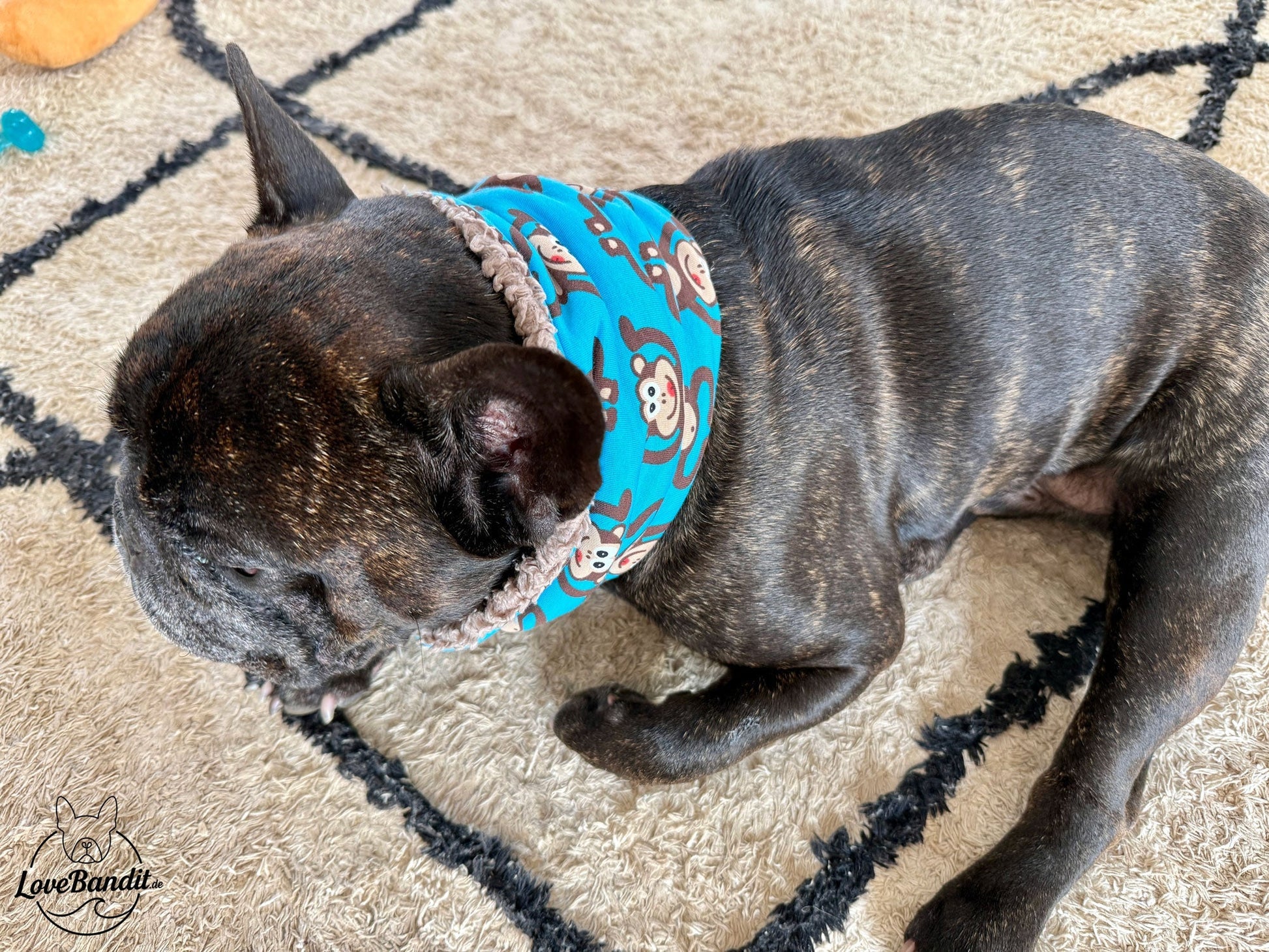 Hundeloop Hundeschal Affen braun Lovebandit