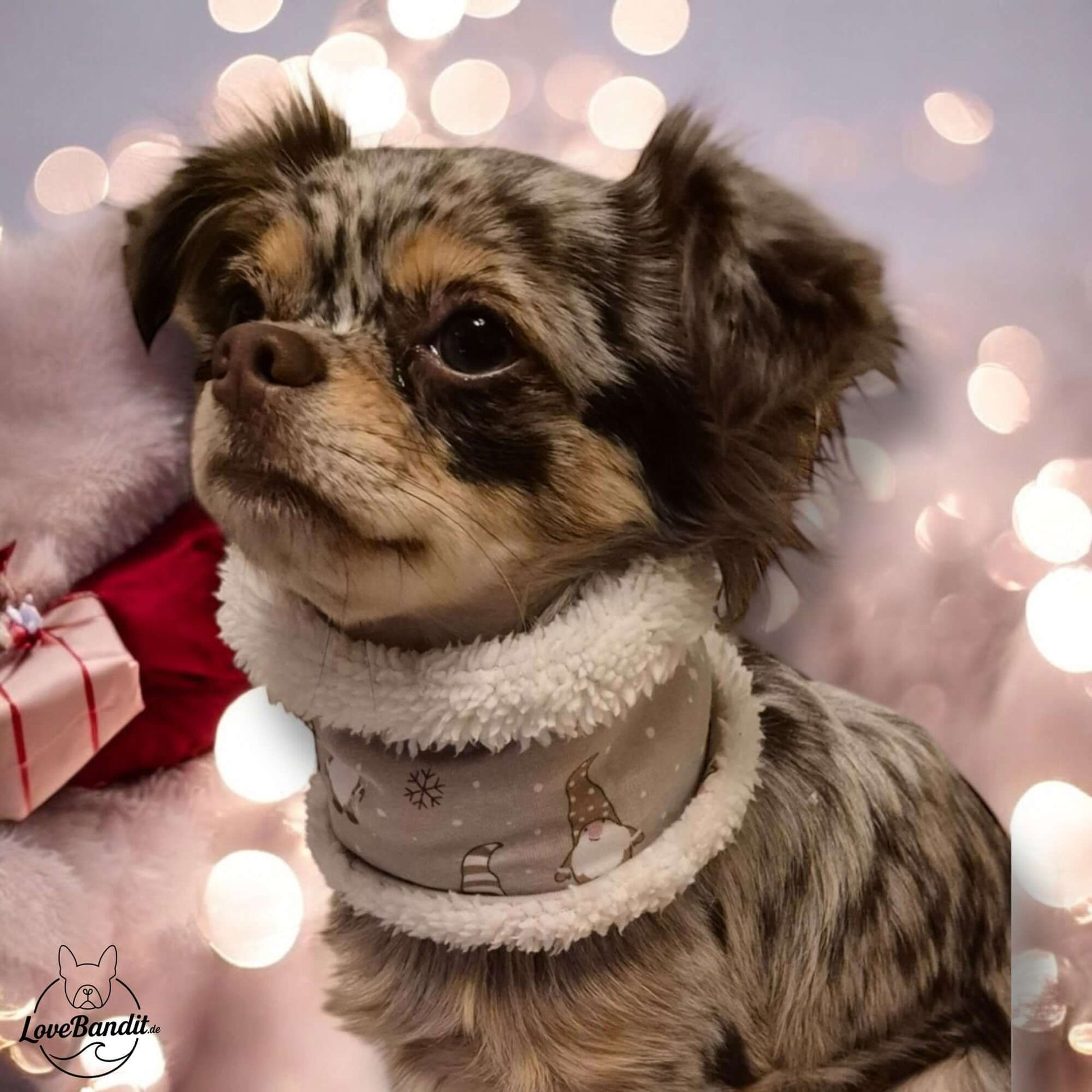 Hundeloop Hundeschal Weihnachtswichtel Beige 🎅✨ Lovebandit