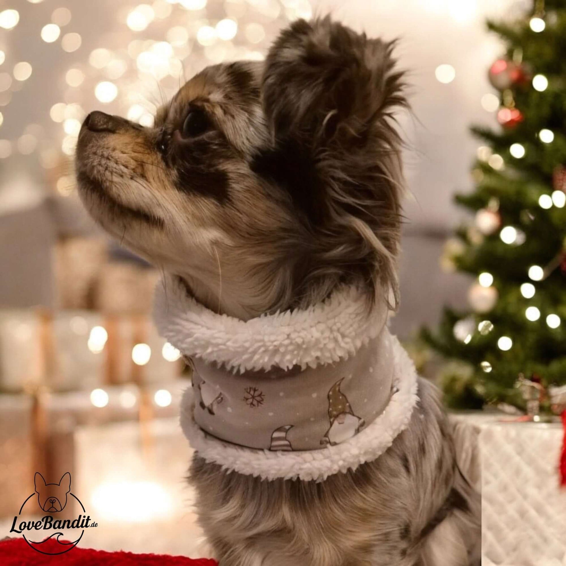 Hundeloop Hundeschal Weihnachtswichtel Beige 🎅✨ Lovebandit