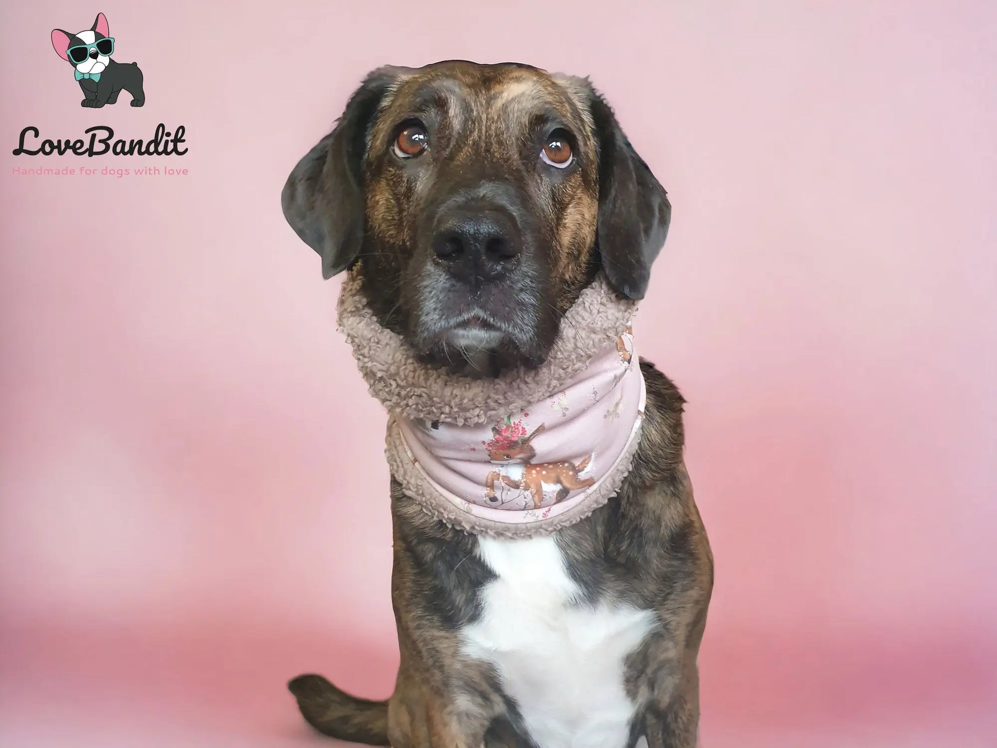 Hundeloop Hundeschal Rehkitz Blume altrosa - LoveBandit