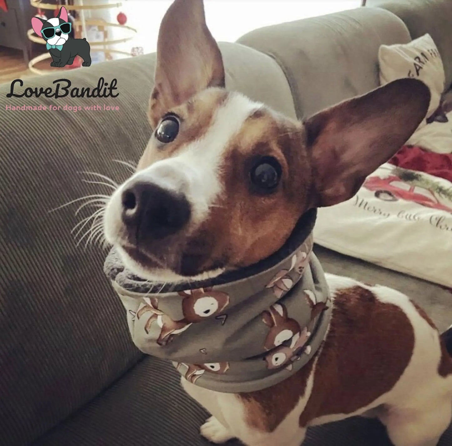 Hundeloop Hundeschal "Rentier" Schwarz mit Fleece oder Teddyplüsch Lovebandit