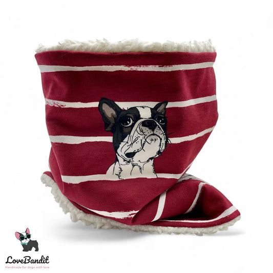 Hundeloop Hundeschal "Winter Boston" Boston Terrier rot mit Fleece oder Teddyplüsch Lovebandit