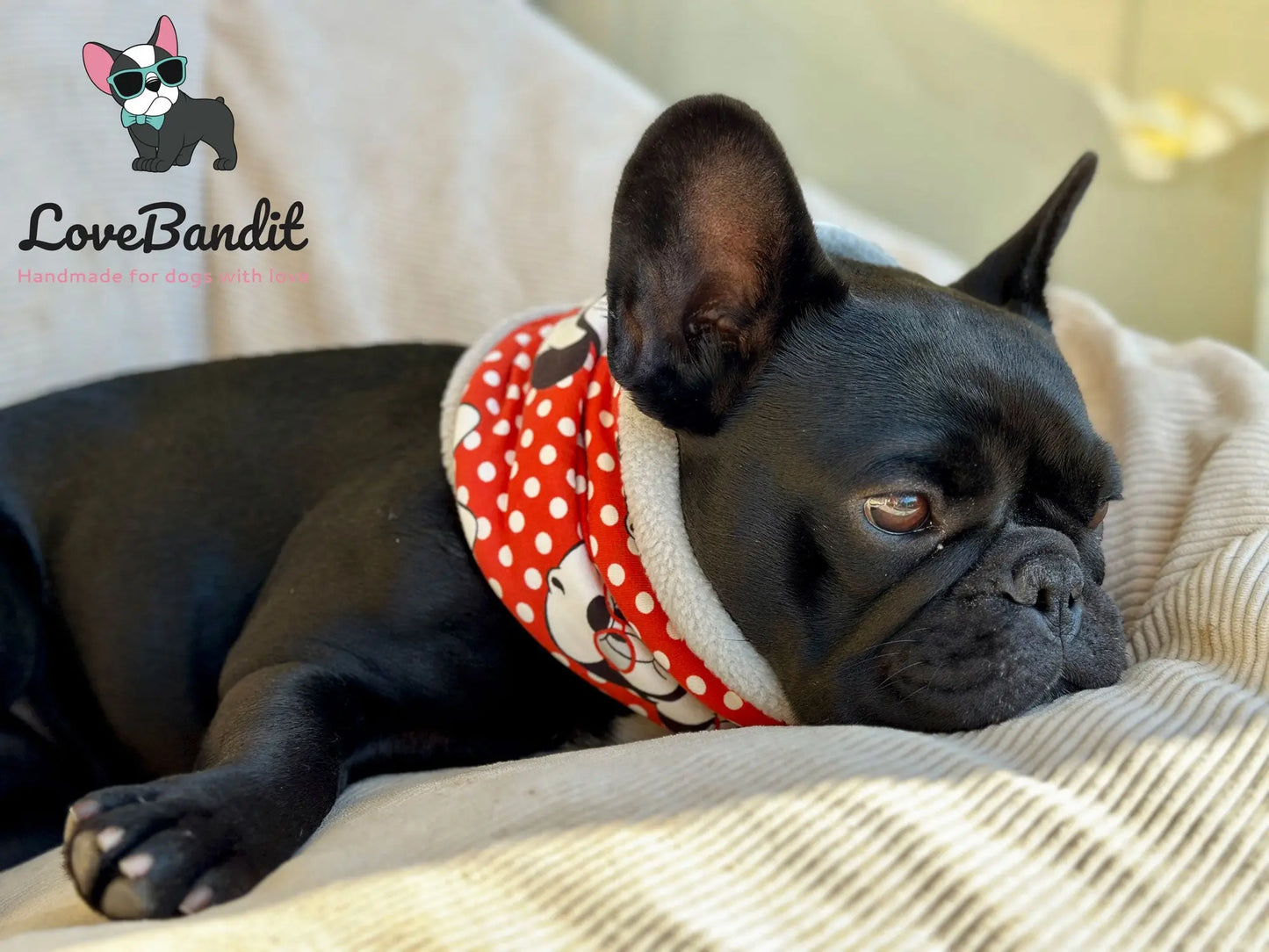 Hundeloop Hundeschal "Winter Boston" Boston Terrier und Punkte rot mit Fleece oder Teddyplüsch Lovebandit