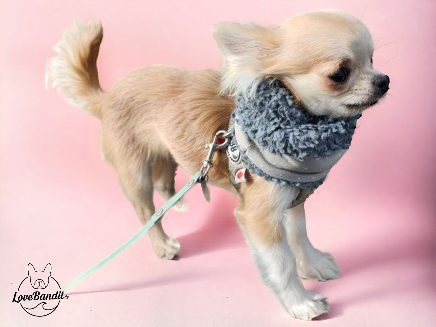 Hundeloop Hundeschal Mini Punkte taupe Lovebandit