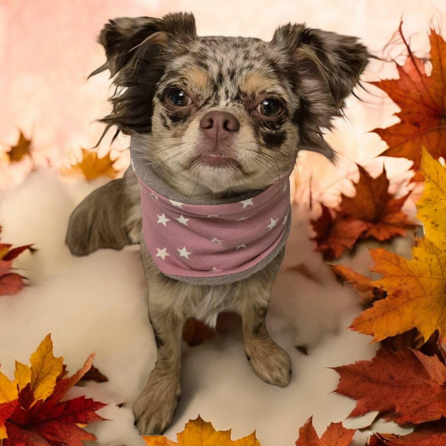Hundeloop Hundeschal Sterne altrosa Fleece Teddyplüsch Lovebandit