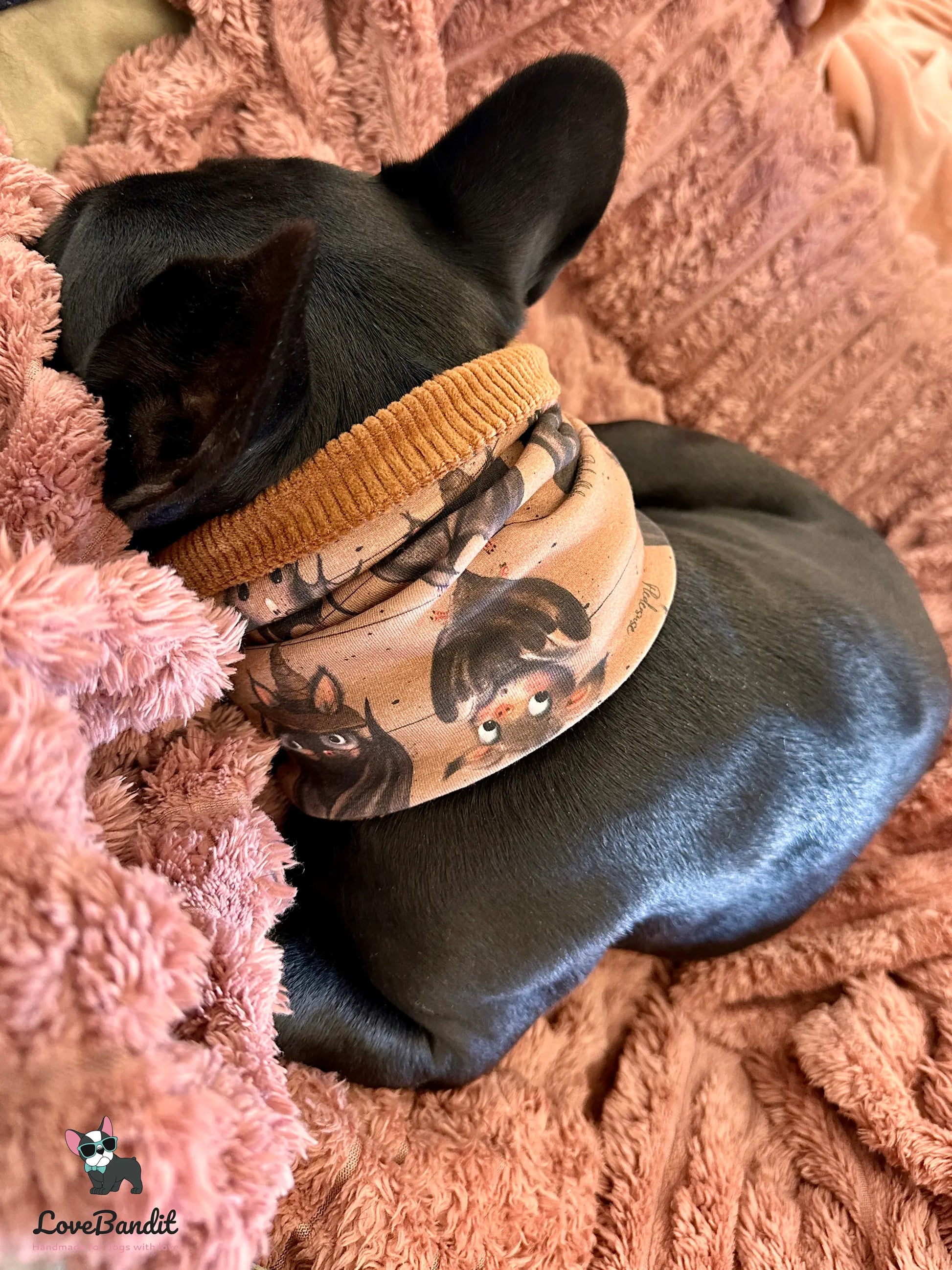 Hundeschal Hundeloop Cord Fledermäuse Braun - LoveBandit