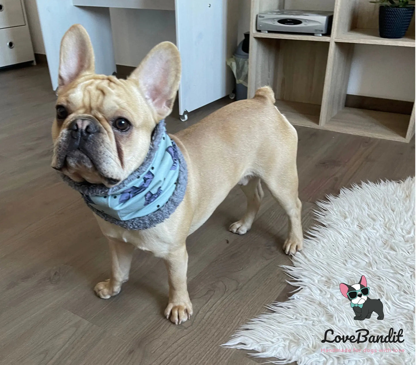 Hundeschal Hundeloop "Französische Bulldogge" mit Fleece oder Teddyplüsch (Blau) Lovebandit