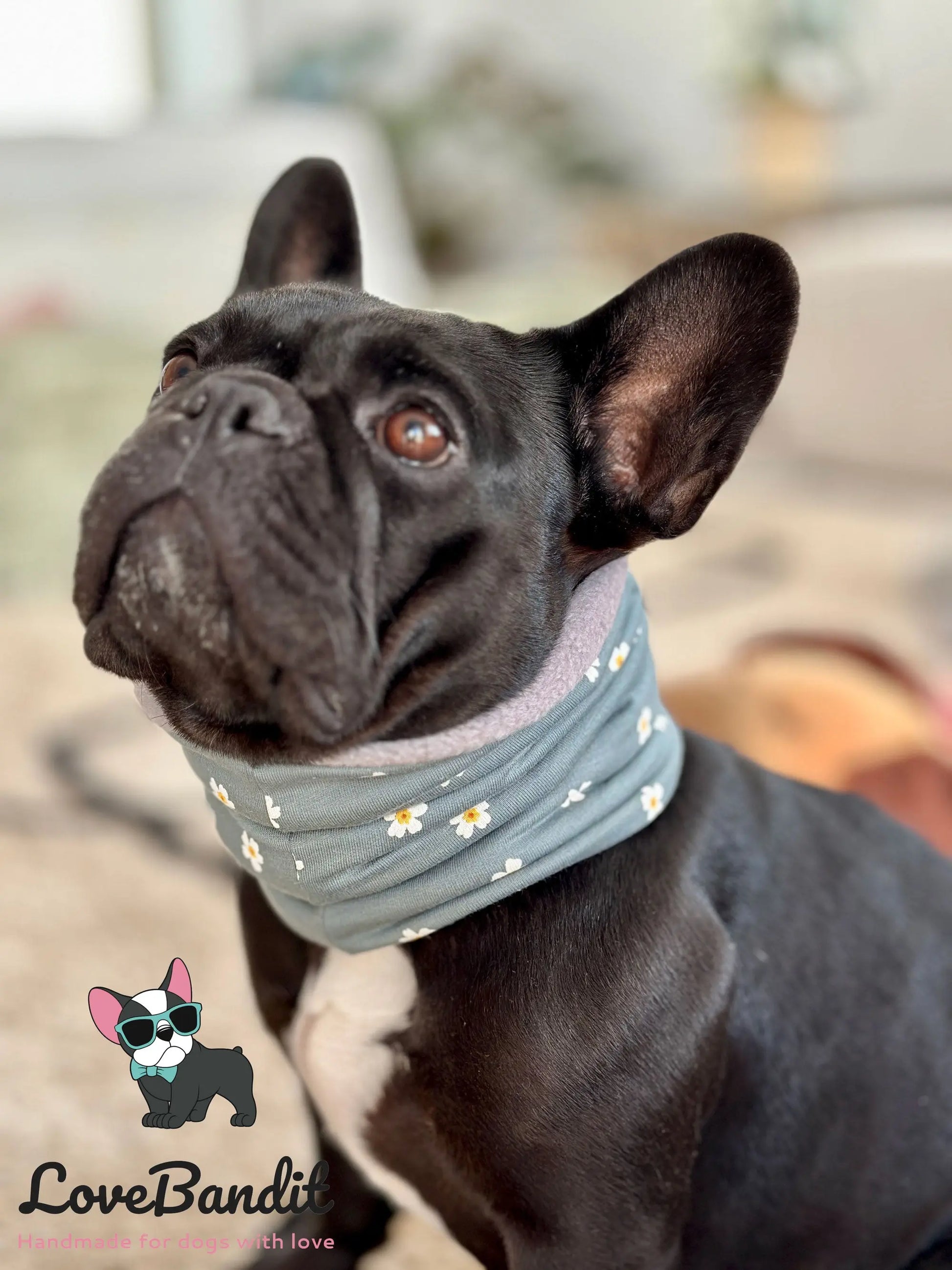 Hundeschal Hundeloop "Französische Bulldogge" mit Fleece oder Teddyplüsch (Blau) - LoveBandit