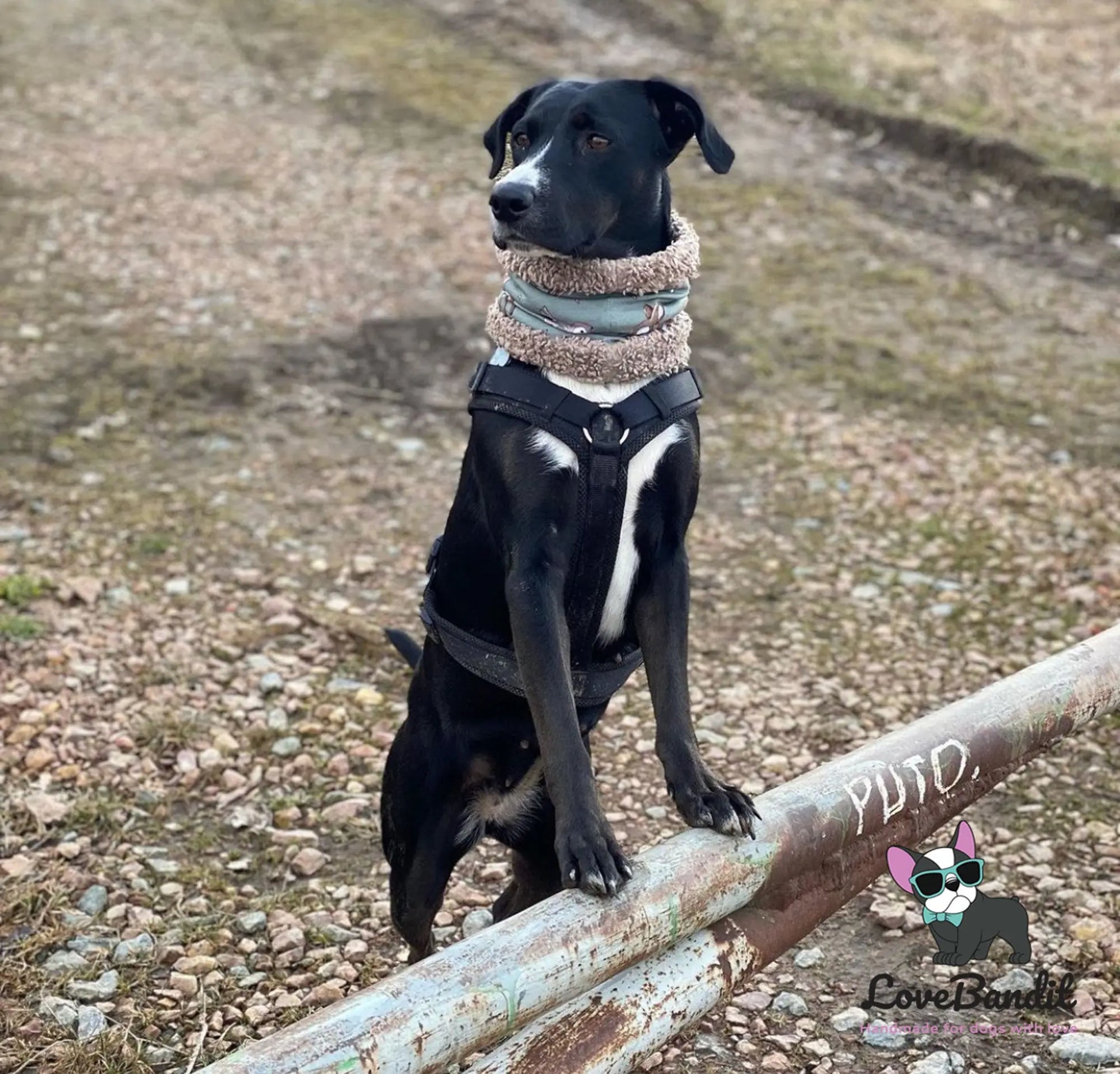 Hundeschal Hundeloop "Rehliebe" Altgrün Lovebandit