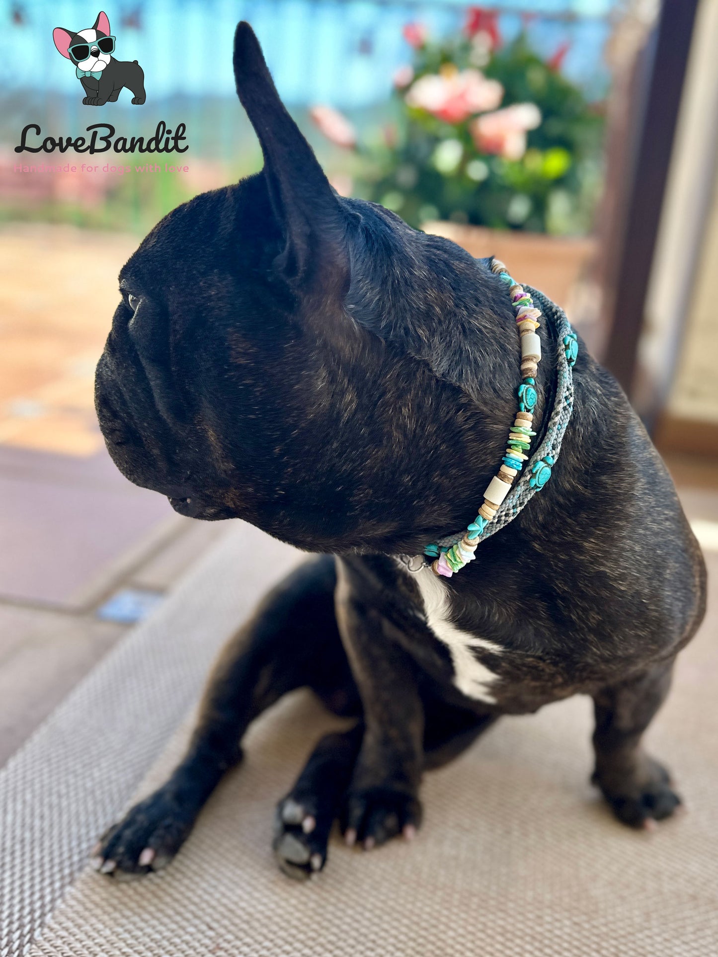 EM Keramik Hundehalsband Zeckenhalsband "Muschel-Love" pastellbunt  - grün gelb blau LoveBandit