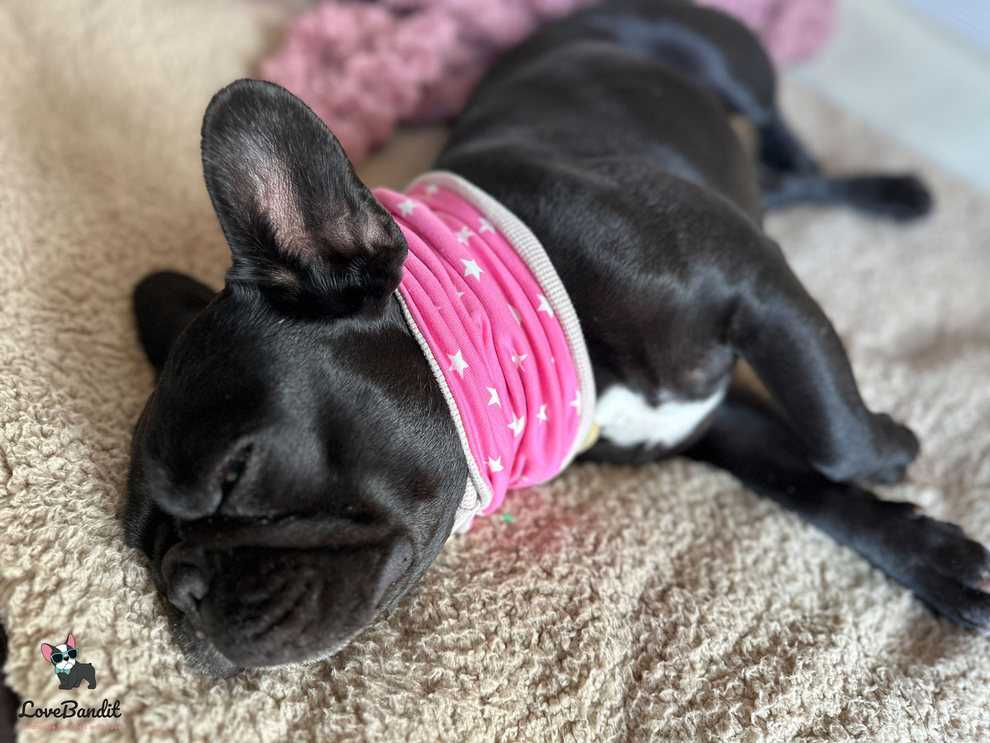Hundeloop Hundehalstuch Frühling Sommer Sterne Mini Dunkelorange