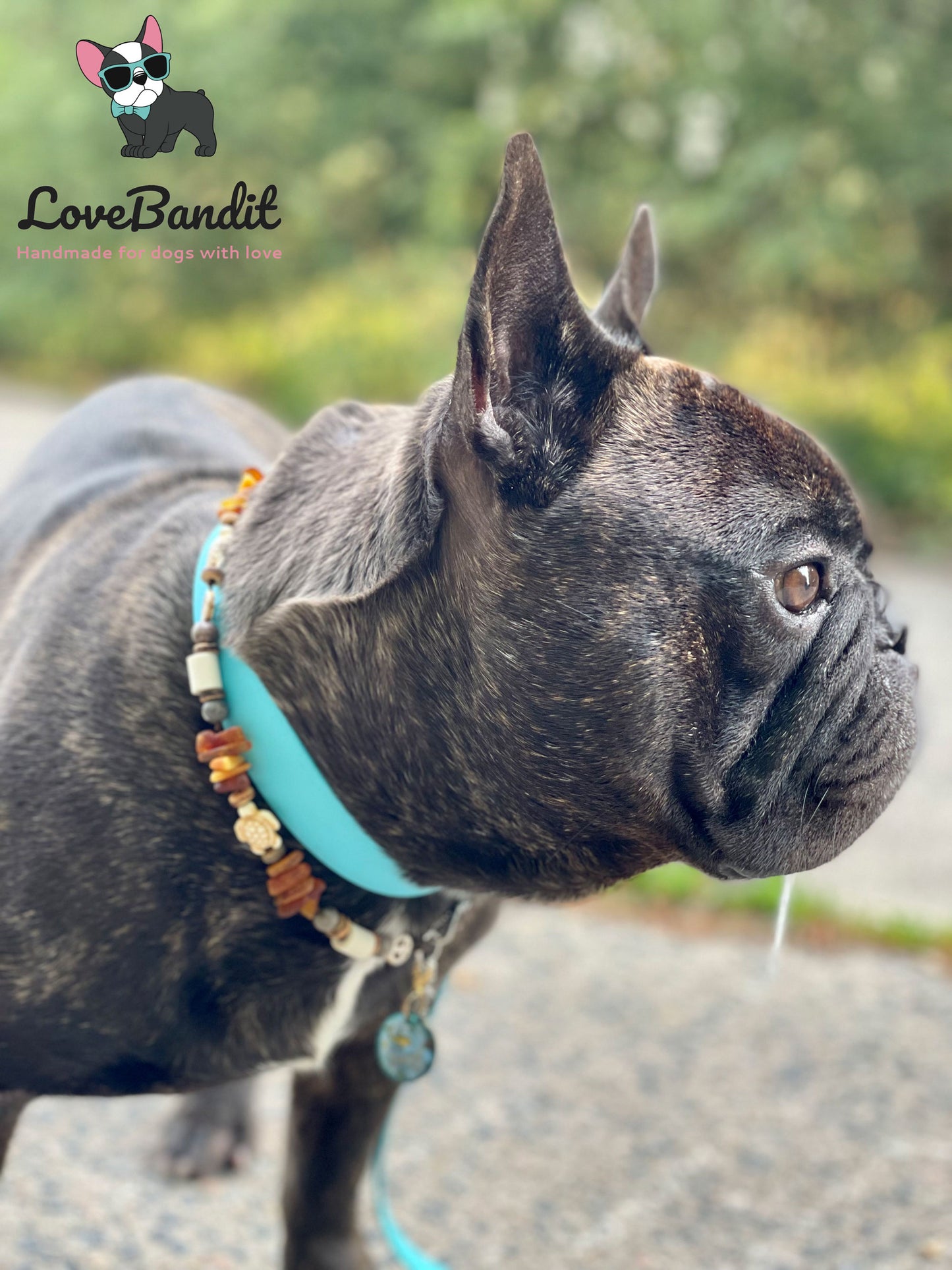 Bernstein und EM Keramik Halsband für Hunde - Peace & Schildkröten blau Lovebandit