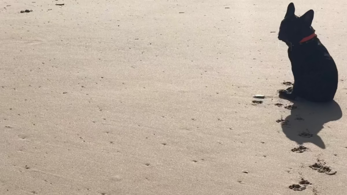 LoveBandit - unsere Geschichte - gemeinsamer Weg