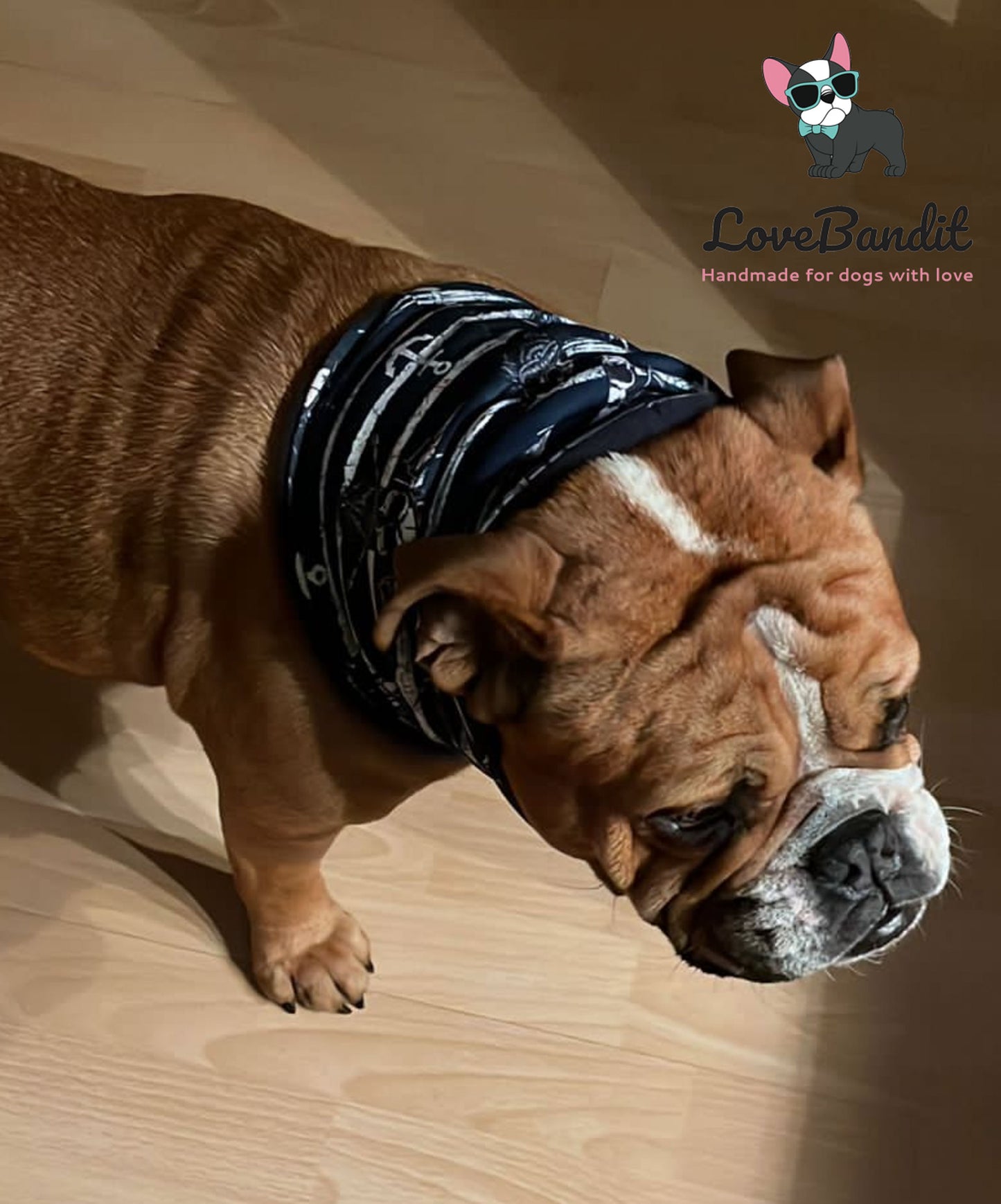 Hundeloop Hundeschal "Rentier" Pastellblau mit Fleece oder Teddyplüsch