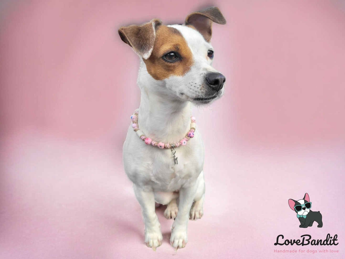 EM-Keramik Halsband Perlen und Blumen Pink für Hundemädchen Lovebandit