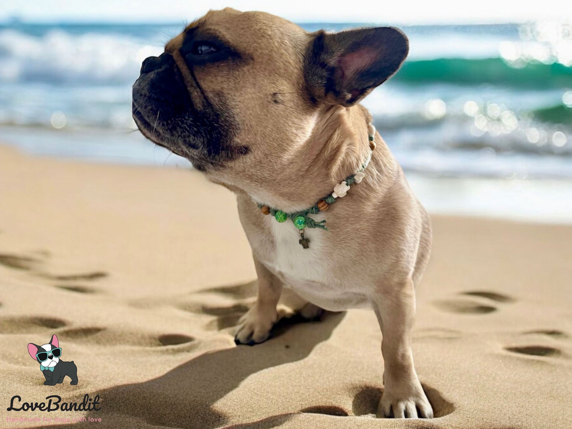 EM Keramik Hundehalsband Zeckenhalsband "Seaweed" naturfarben mit Muscheln LoveBandit