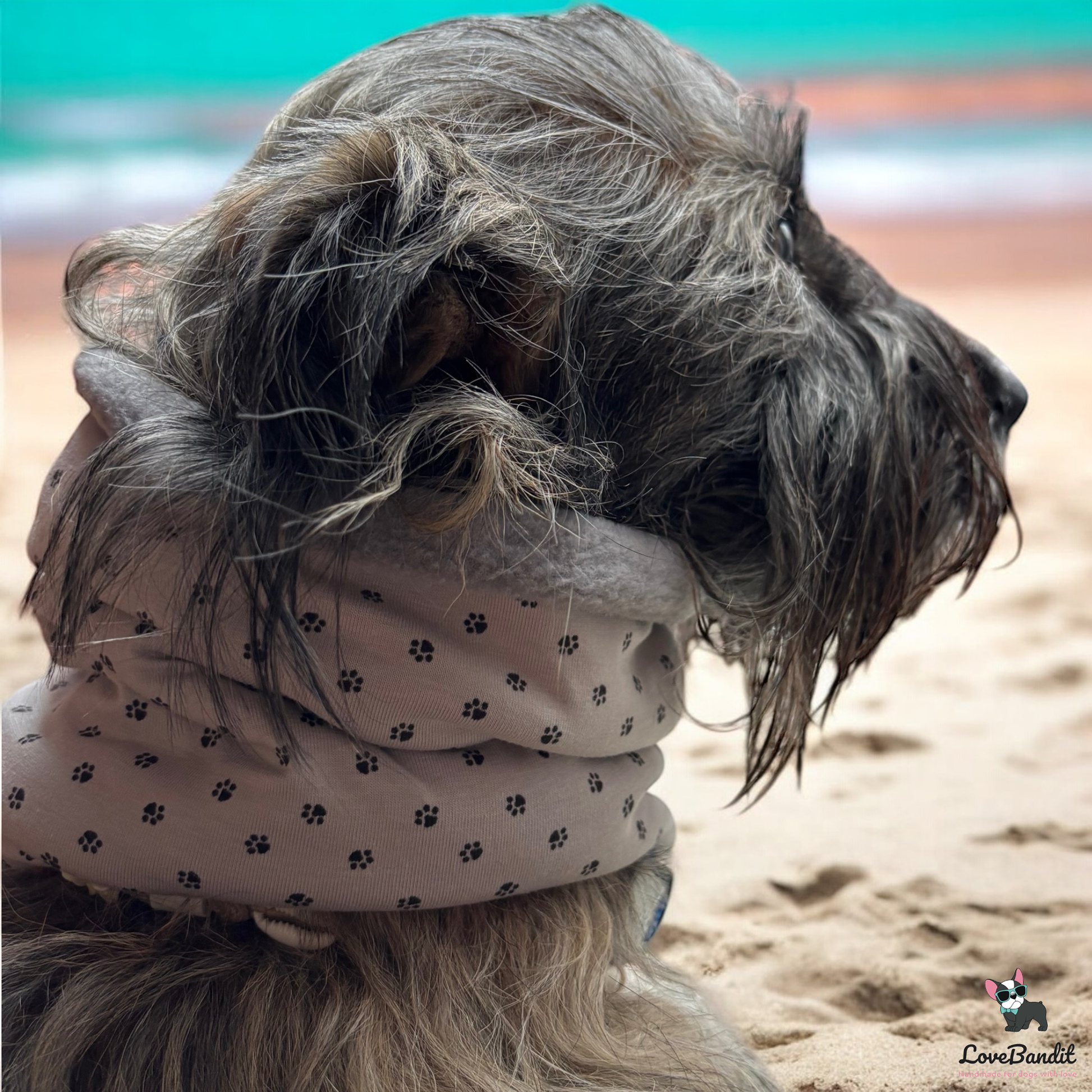 Hundeloop Hundeschal Pfoetchentraum-taupe-grau-LoveBandit