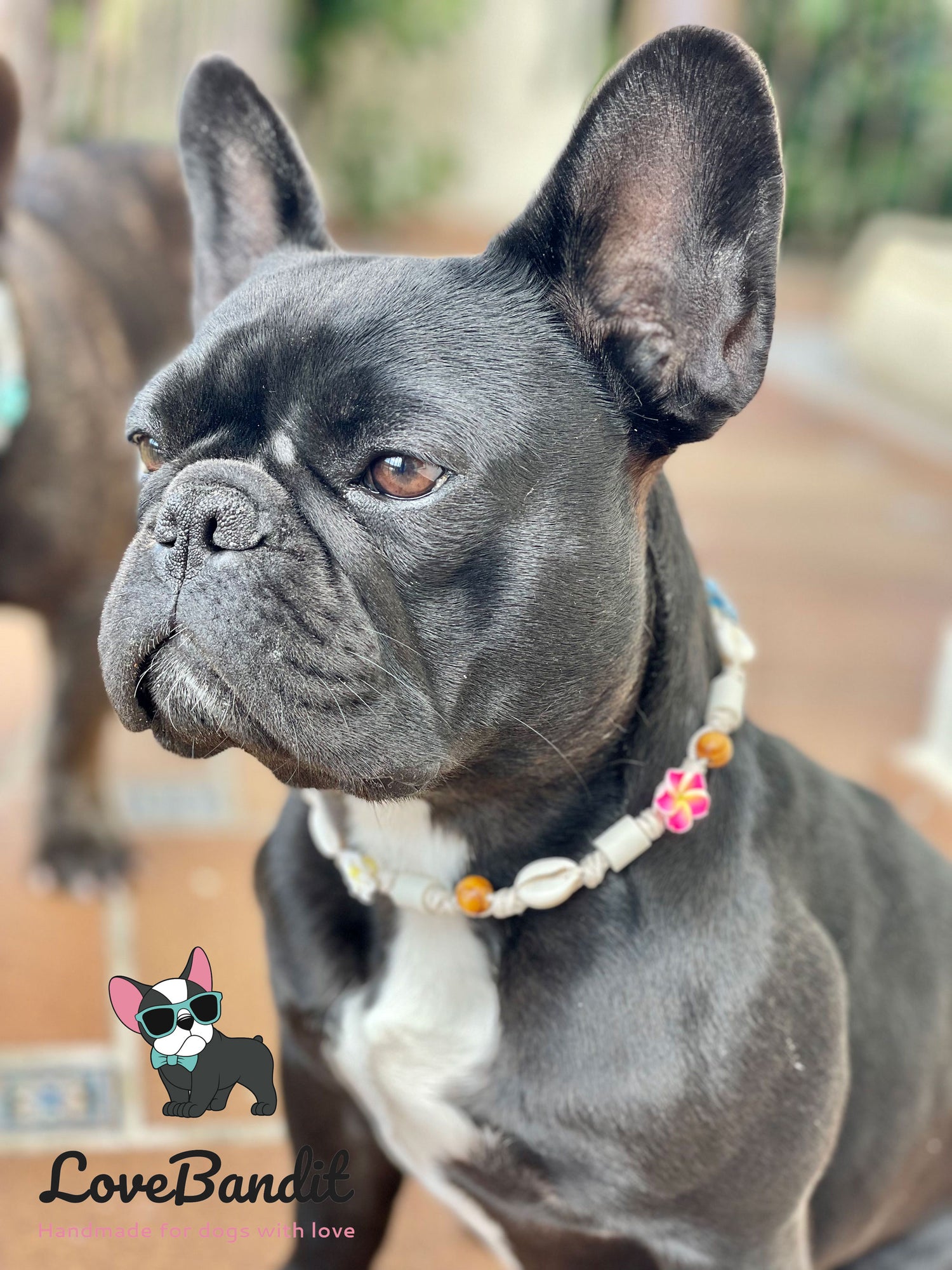 EM Keramik Hundehalsband Zeckenhalsband "Hula Dog 2" Hawaiiblümchen und Muscheln(bunt) LoveBandit
