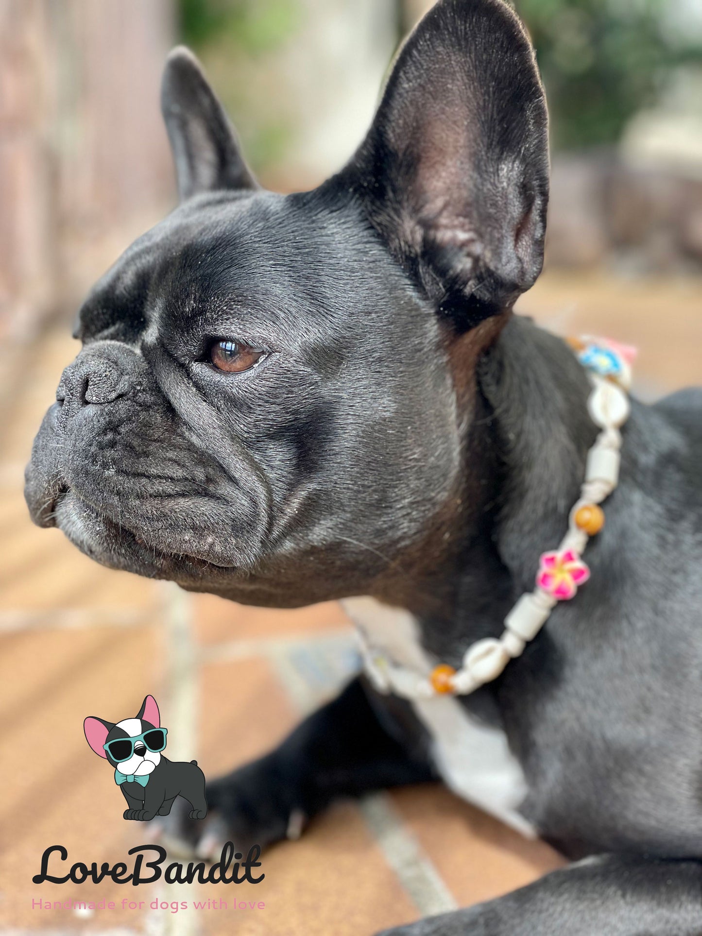 EM Keramik Hundehalsband Zeckenhalsband "Hula Dog 2" Hawaiiblümchen und Muscheln(bunt) LoveBandit