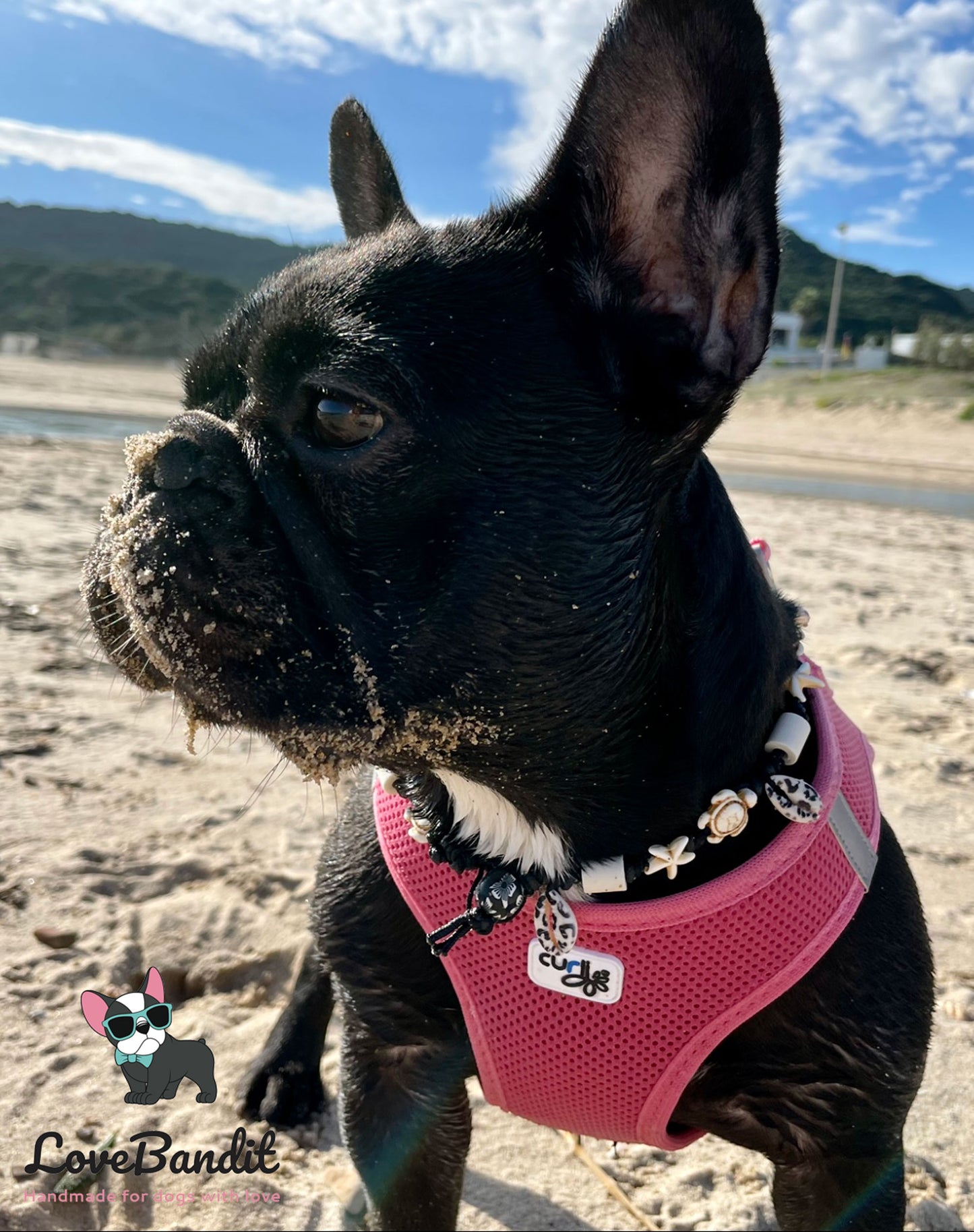 EM Keramik Halsband "Beach Surf Dog" Leo Lovebandit